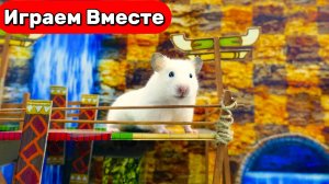 Приключения Умного Хомяка в лабиринте из игры СОНИК 🐹💨 Видео для детей 🐹💨