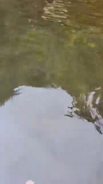 Valencia Negros Oriental hot springs #EnjoyingSimpeLife смотреть онлайн