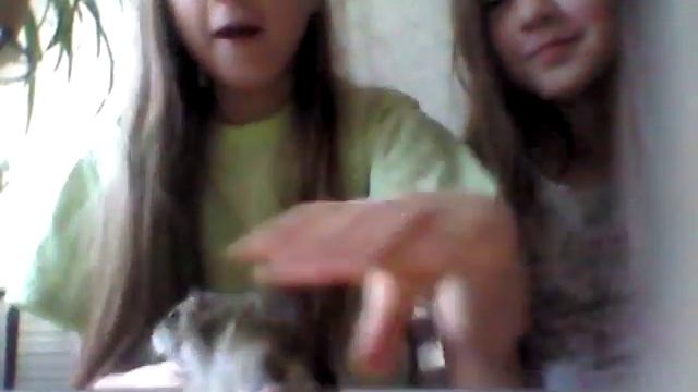 Я и мой хомяк смотреть онлайн