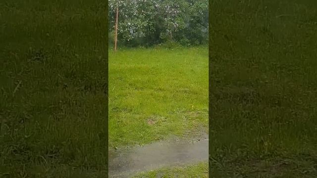 Дождь идёт целый день. смотреть онлайн