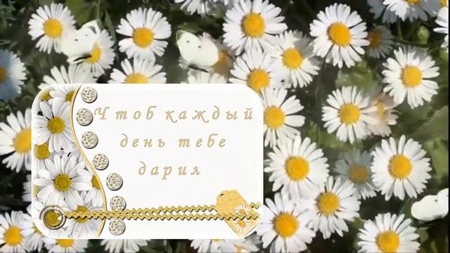 Открытки с днем рождения женщине. Видео открытки. смотреть онлайн