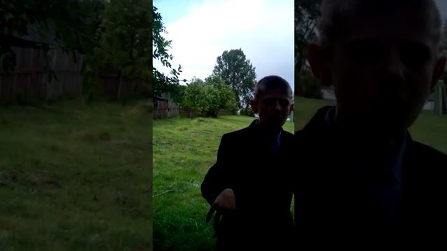 Смешные аниматроники смотреть онлайн