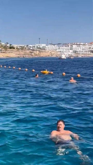 Жаркая зима в Египте. Hotel Sierra / Savoy Sharm el Sheikh 5*. December 2023. #egypt #red_sea смотреть онлайн