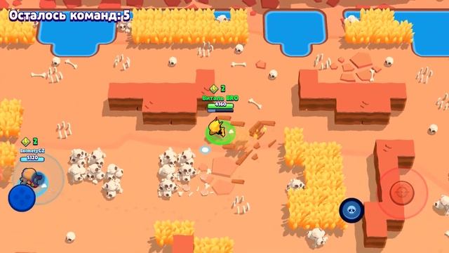 КУПИЛ СКИН ФЕНИКС-КРОУ В Brawl Stars БЕЗ ДОНАТА! АПАЕМ КУБКИ В РЕЖИМЕ SHOWDOWN 2 НА 2! смотреть онлайн
