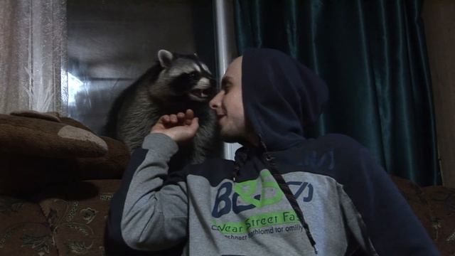 Енота Песня (видео прикол) За автографами в очередь