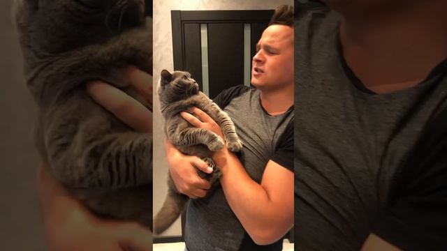 Британка из тик тока . Микс смотреть онлайн