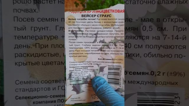 Садовые эксперименты.Темпы роста семян кактуса с Али-Экспресс,пропосшая косточка авокадо,петрушка. смотреть онлайн