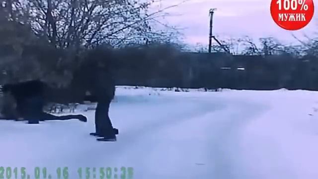 Приколы с ментами смотреть онлайн