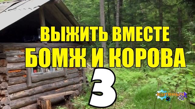 ВЫЖИВАНИЕ БОМЖА ОПЯТЬ ТЮРЬМА ПОПУТЧИЦА ОТШЕЛЬНИК НАШЕЛ РАБОТУ 3 из 5 смотреть онлайн