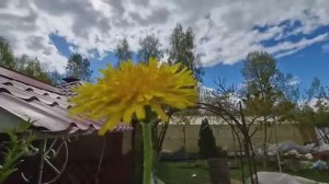 Полный дом гостей. Печаль и радость в один день. Как прошел праздник? Жизнь семьи в деревне.