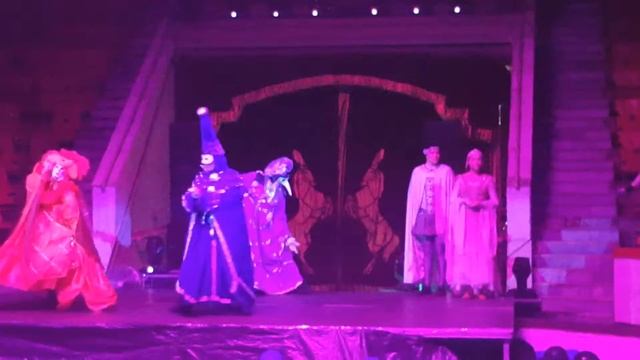 Водное шоу в цирке Костромы (2016)