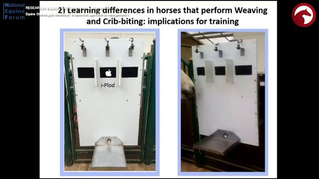 #NEF19 16 Equine Stereotypic Behaviour: a head-first approach to training смотреть онлайн