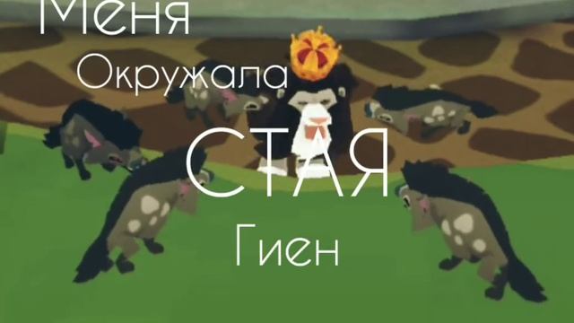 Tenca - ЛЕВ|ANIMAL JAM