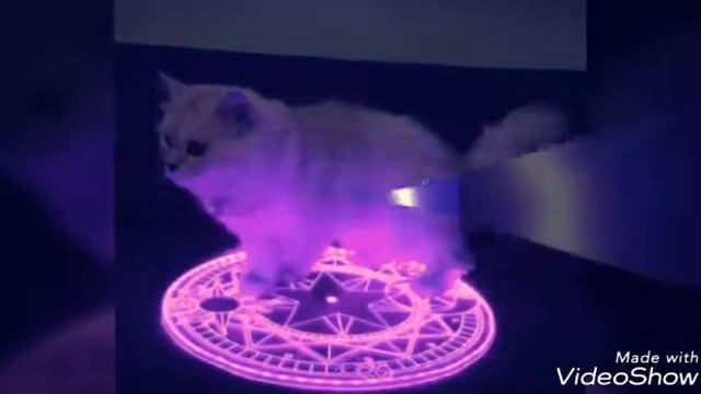 Классные картинки # 2 ☺ смотреть онлайн