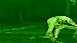 Флекс SCP-096 подходит под любую музыку