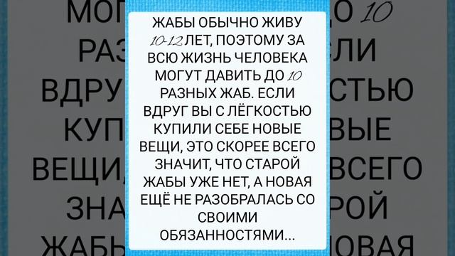 ЖАБА ЕЩЁ НЕ РАЗОБРАЛАСЬ 😂 ВИННИ ОБЛЕНИЛСЯ #анекдот #анекдоты смотреть онлайн