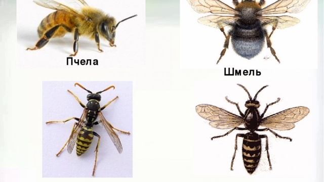 Безопасность весной