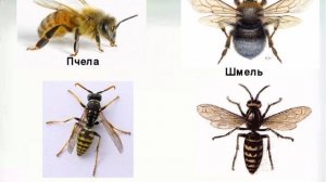 Безопасность весной