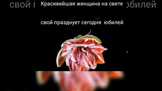 Поздравление Светлане Алексеевне смотреть онлайн