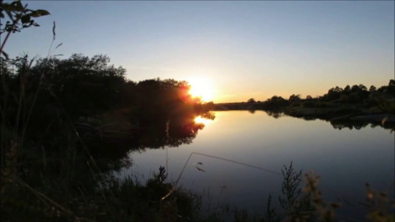 Лидолия Никитина - Разрешите подарить цветы. Нет тебя. Читает Владислав Витковский смотреть онлайн