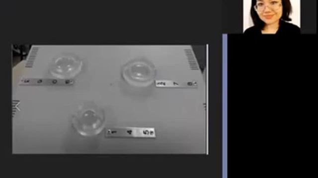 1-2 Modello di sviluppo del mondo_Модель развития Мира смотреть онлайн