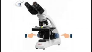 Устройство микроскопа