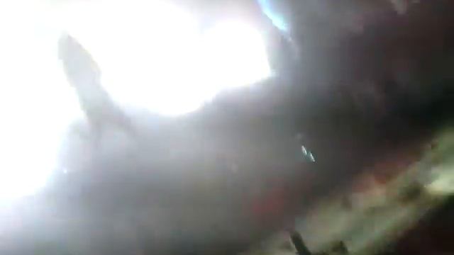 Prodigi отличное начало концерта музыка Кричит