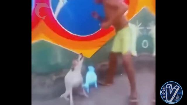 Goodbye 2018...|МОНТАЖИК | ЛУЧШИЕ ПРИКОЛЫ | 2018 -2019 | С НОВЫМ ГОДОМ VITA TV| смотреть онлайн