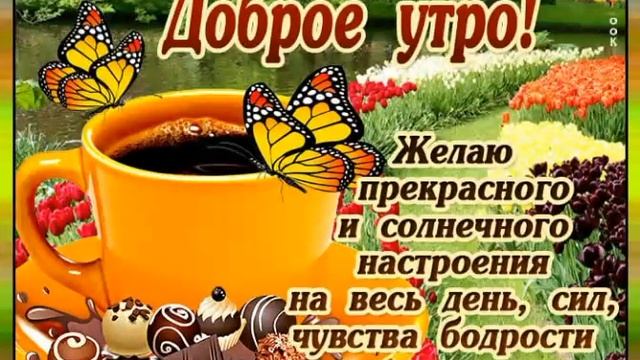 Доброе утро!!!! Хорошего дня!!! Лёгкого четверга!!! Скоро выходные!!! смотреть онлайн