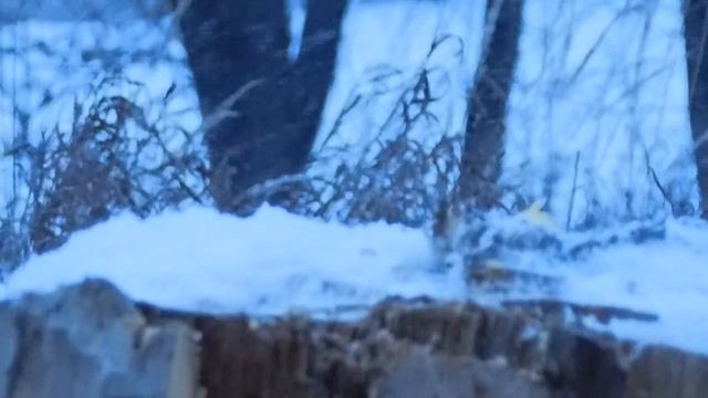 Ютуб лучшие приколы. 2 Часть. Лимон и лунатики. Все серии подряд. Lemon & Company смотреть онлайн