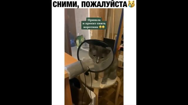 Эту страну не победить! Русские приколы! 2020 #26 смотреть онлайн