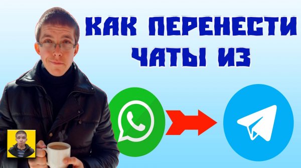 Как перенести чаты из ватсап в телеграм