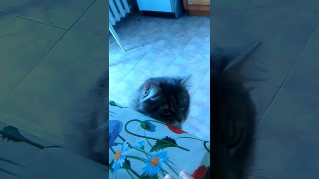 Кузьмич играет))) смотреть онлайн