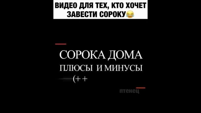 Эту страну не победить! Приколы 2022! Часть 2 смотреть онлайн