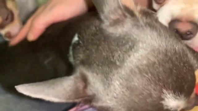 Всем доброго вечера и спокойной ночи. смотреть онлайн