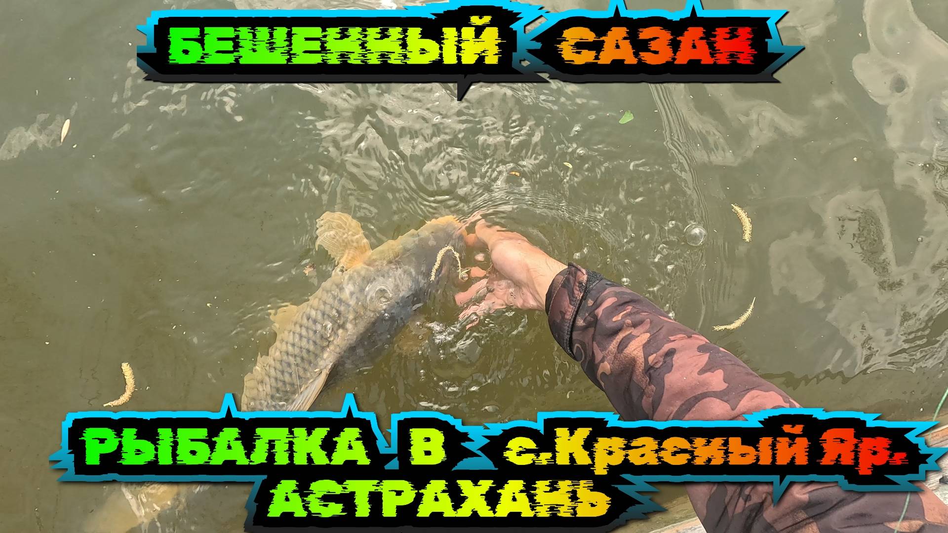 Рыбалка на Весеннего САЗАНА в Астрахань 2025 смотреть онлайн