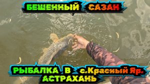 Рыбалка на Весеннего САЗАНА в Астрахань 2025