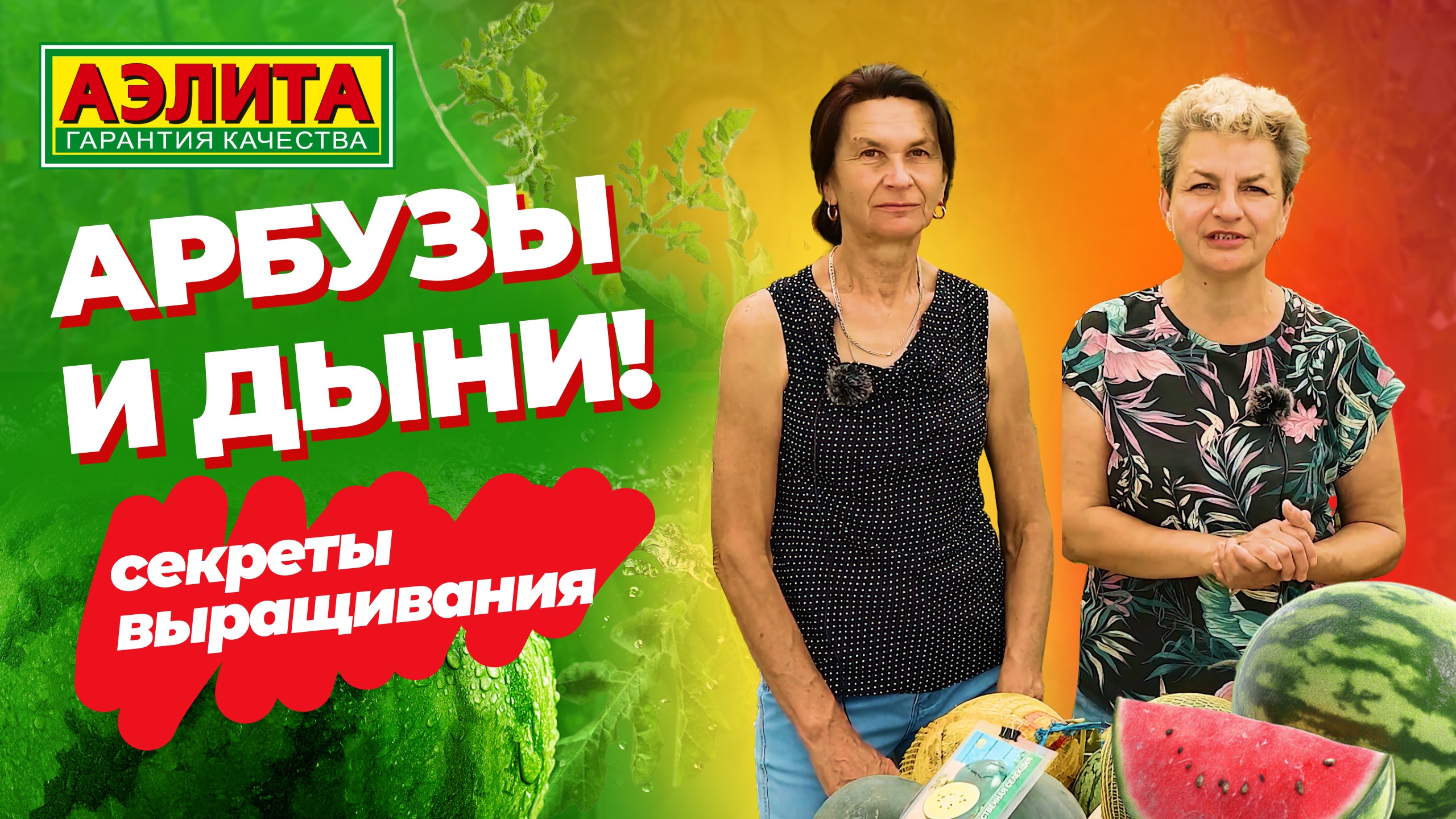 АГРОТЕХНИКА ВЫРАЩИВАНИЯ АРБУЗА и ДЫНИ в Средней полосе России. Раскрываем наши секреты!