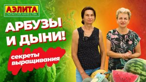 АГРОТЕХНИКА ВЫРАЩИВАНИЯ АРБУЗА и ДЫНИ в Средней полосе России. Раскрываем наши секреты!