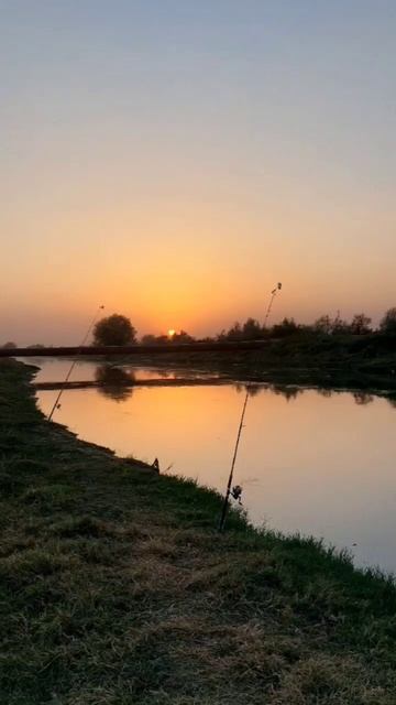 сазан + 5кг смотреть онлайн