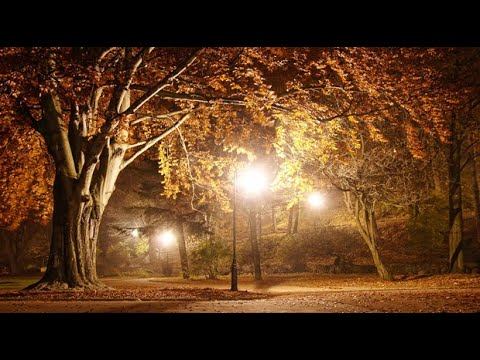 А. Дементьев - Сумерки. Читают Элла Якубенкова и Владислав Витковский смотреть онлайн