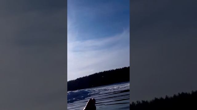 Прикол Морж мысли в слух смотреть онлайн