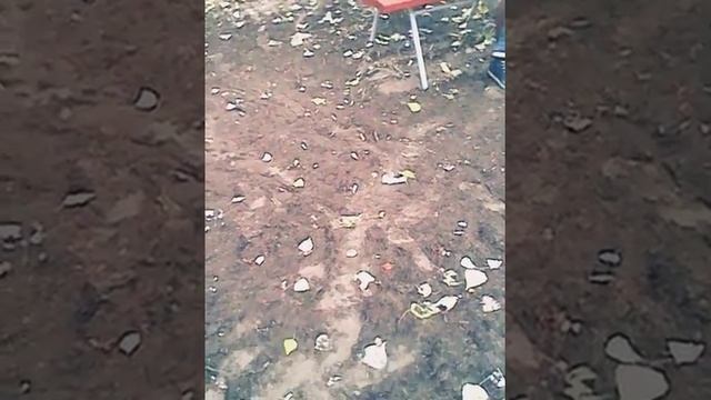 Шальная императрица.Часть 1.Сызрань. смотреть онлайн