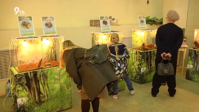 Выставка пауков смотреть онлайн