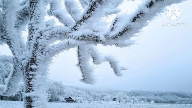 Муж сказал, что уходит от меня. Аудио рассказ. Истории из жизни. смотреть онлайн
