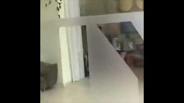 ЭТО САМЫЕ НЕВЕРОЯТНЫЕ ПРИКОЛЫ!!!!СМОТРЕТЬ ВСЕМ!!! смотреть онлайн