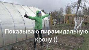 6 соток 27 апреля 2025 года. 1 часть.