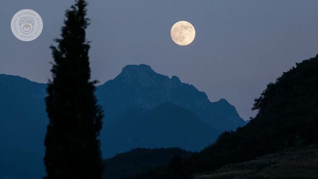Туристический потенциал Апшеронского района. Олег Безродный, президент ассоциации Рустайм смотреть онлайн