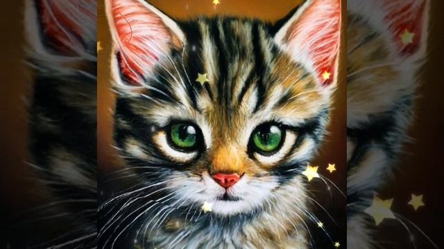 #привет Даня! #котики #новинка #коты #кошки #приколы #сднемрождения #котята #аниме смотреть онлайн