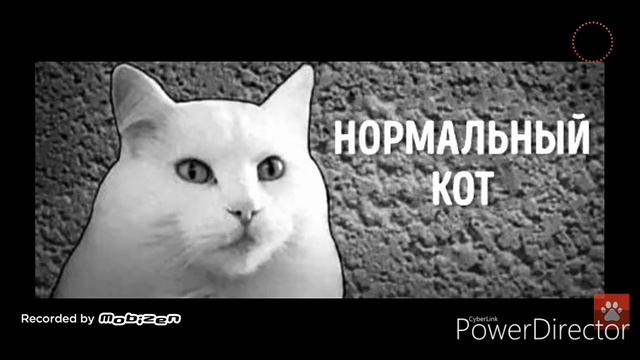 Реакцыя на сильные приколы черный кот смотреть онлайн
